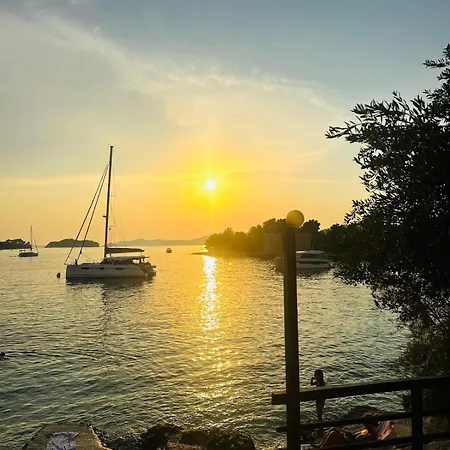 Medusalina-tramontana