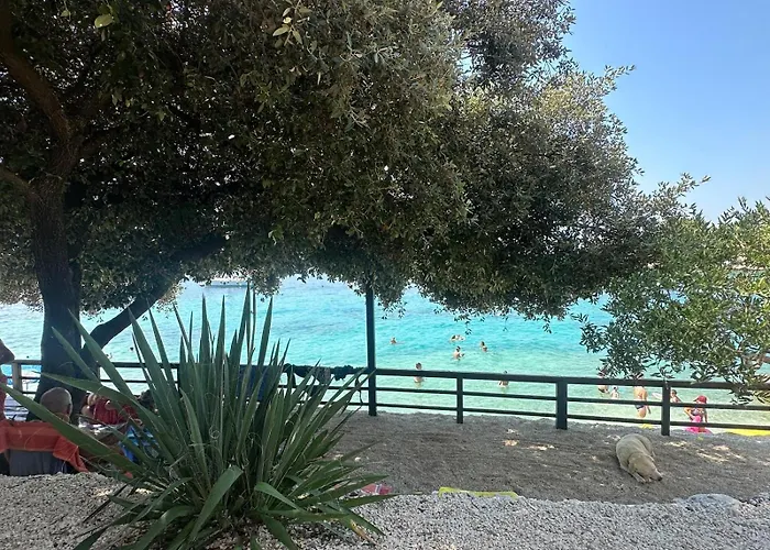Medusalina-tramontana Trogir