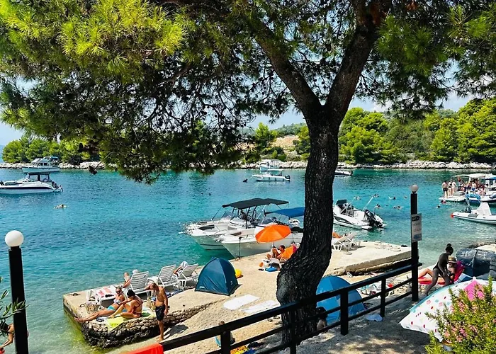 Medusalina-tramontana * Trogir