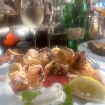 Medusalina-tramontana