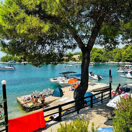 Medusalina-tramontana * Trogir